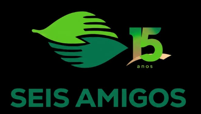 Seis Amigos