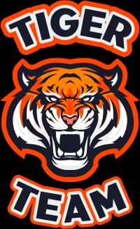 Tiger Team